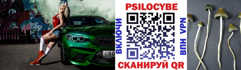 купить наркотик  Воронеж  OMG как зайти  Псилоцибиновые грибы Cubensis 
